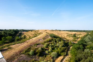 Site du Bourghail de Merignac (10).